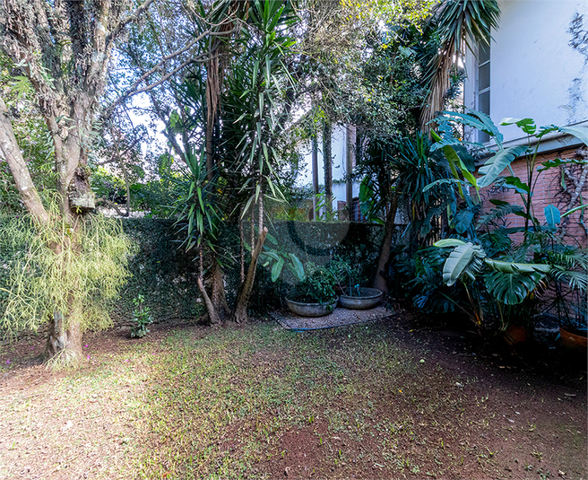 Foto REO1087640
