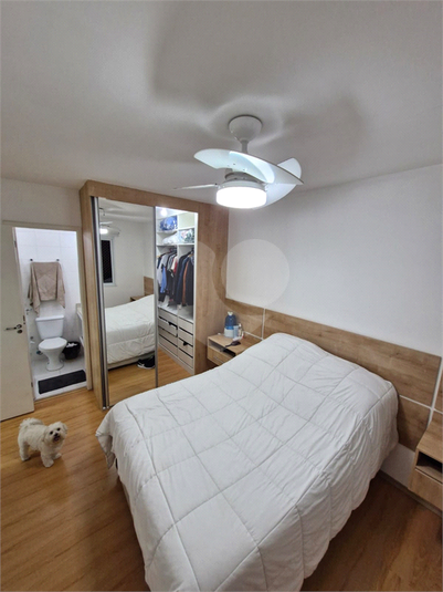 Foto REO1087645