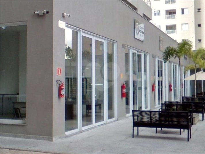 Foto REO1087669