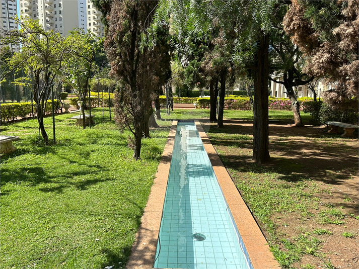 Foto REO1087672
