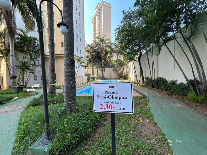 Foto REO1087672