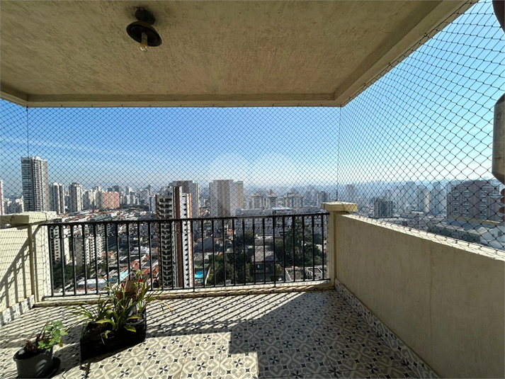 Foto REO1087672