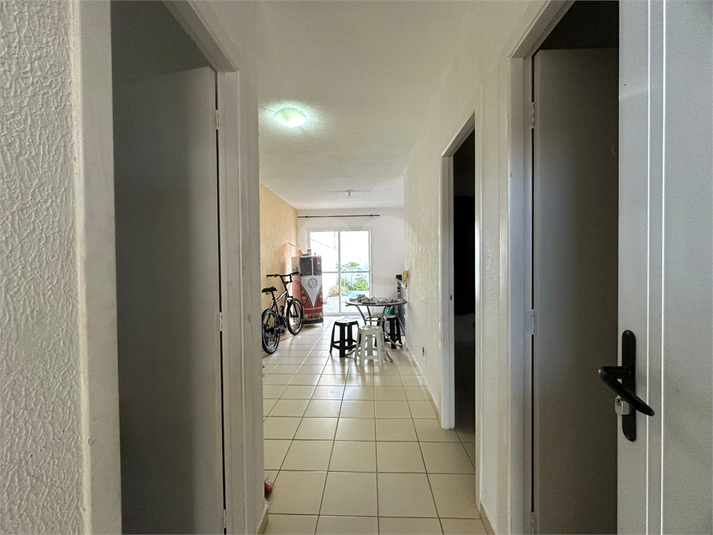 Foto REO1087680