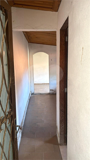 Foto REO1087681