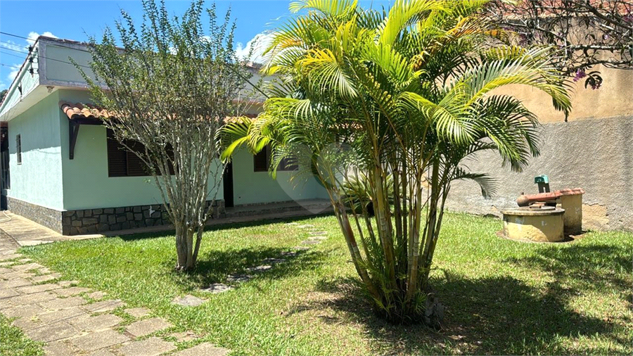Foto REO1087681