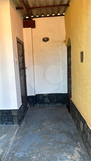 Foto REO1087681