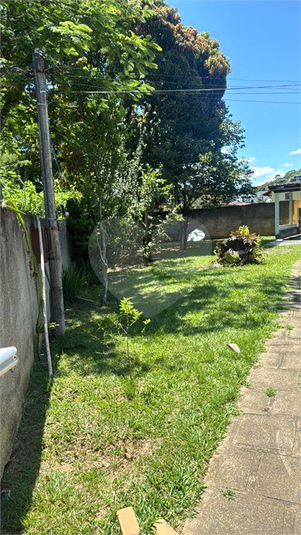 Foto REO1087681