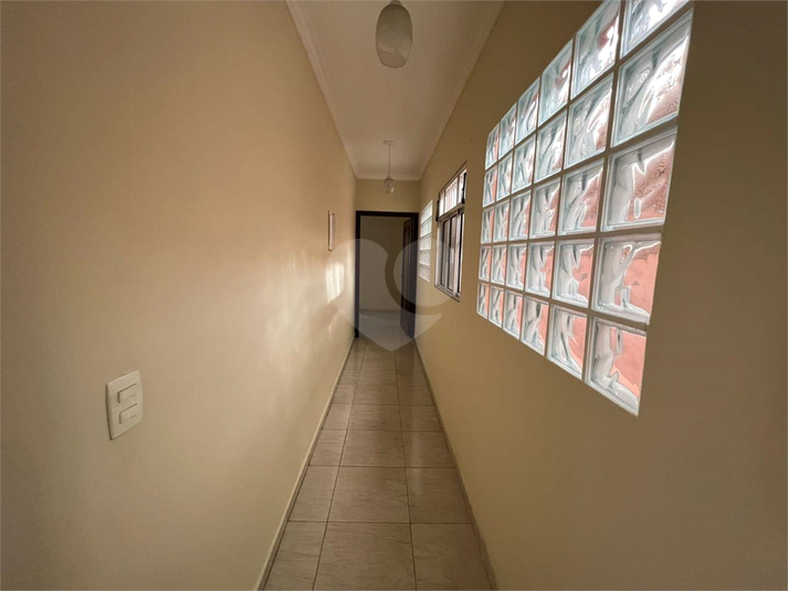 Foto REO1087693