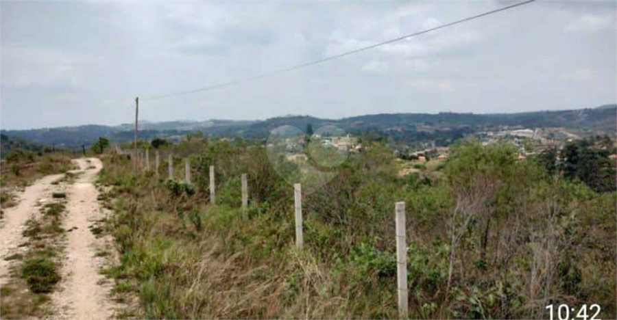 Foto REO1087697