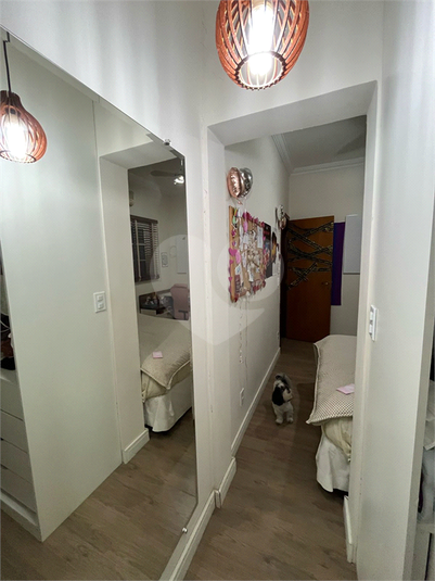 Foto REO1087698