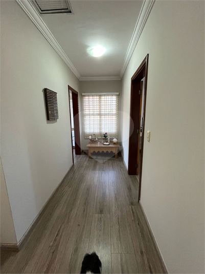 Foto REO1087698