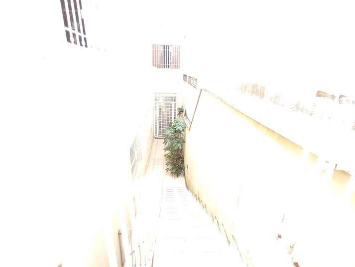 Foto REO1087712