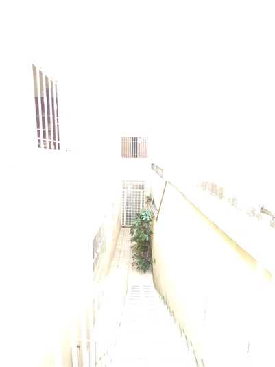 Foto REO1087712