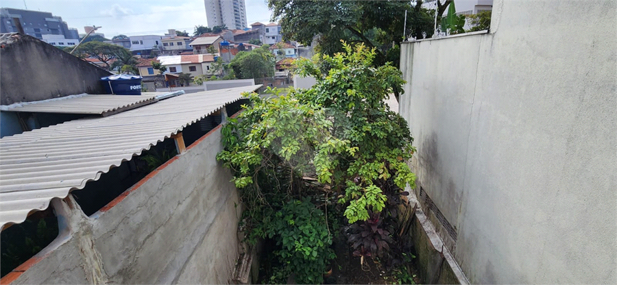 Foto REO1087712