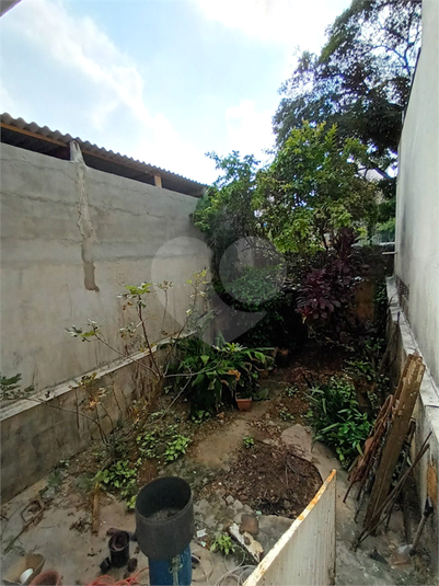 Foto REO1087712