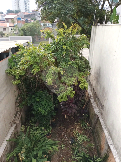 Foto REO1087712