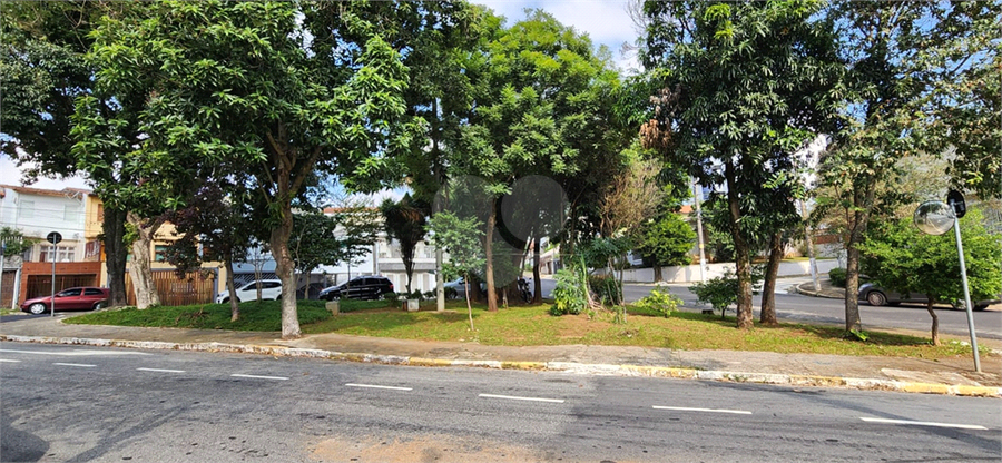 Foto REO1087712