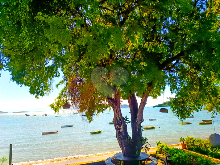 Foto REO1087716