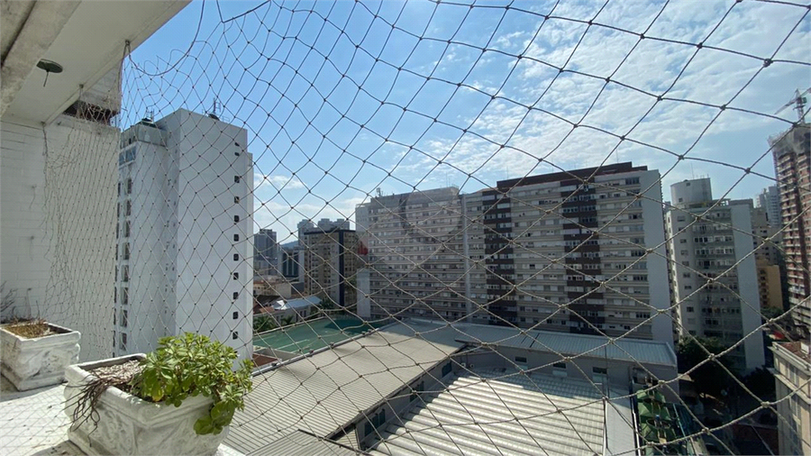 Foto REO1087727