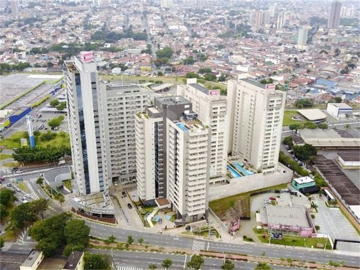 Foto REO1087729