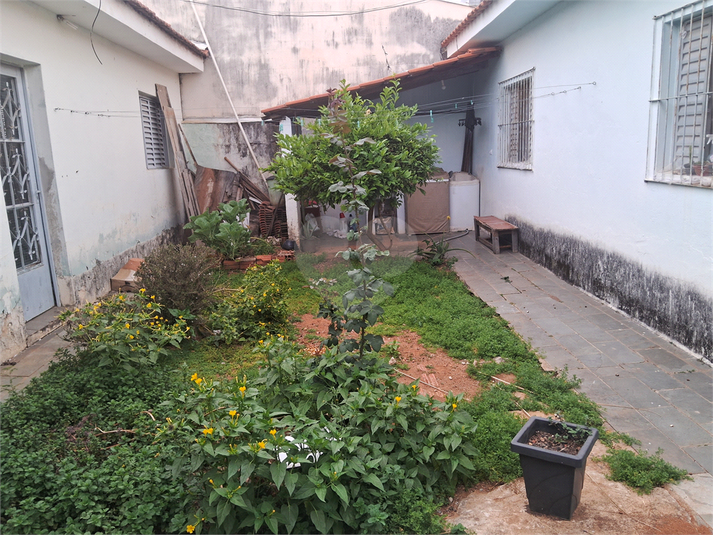Foto REO1087736