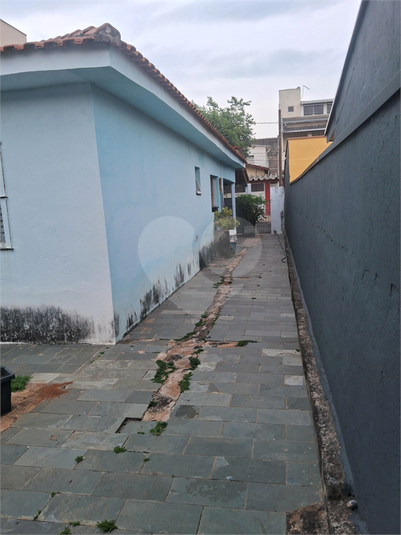 Foto REO1087736