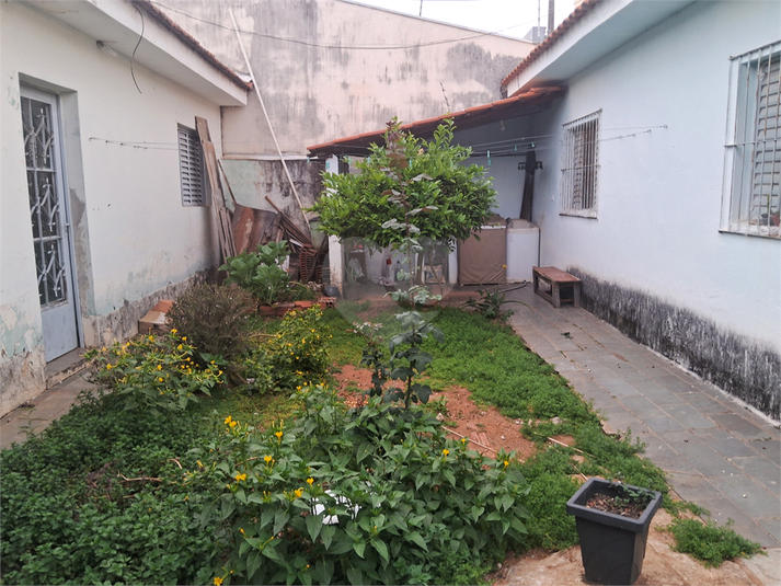 Foto REO1087736