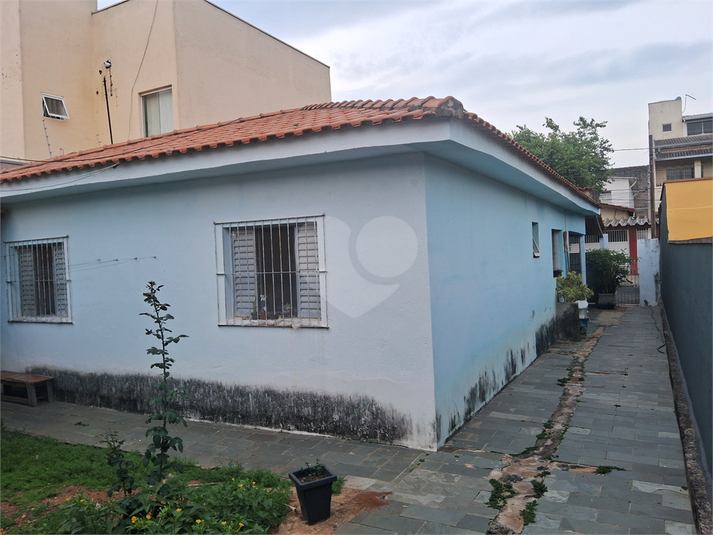 Foto REO1087736