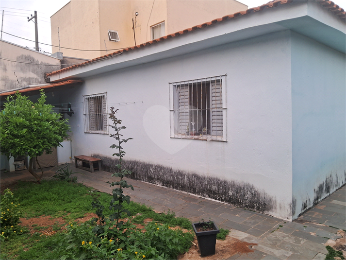 Foto REO1087736