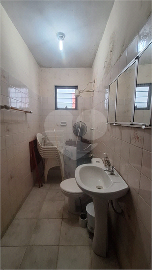 Foto REO1087767