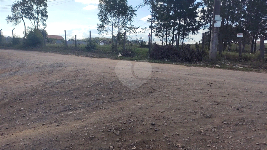 Foto REO1087770