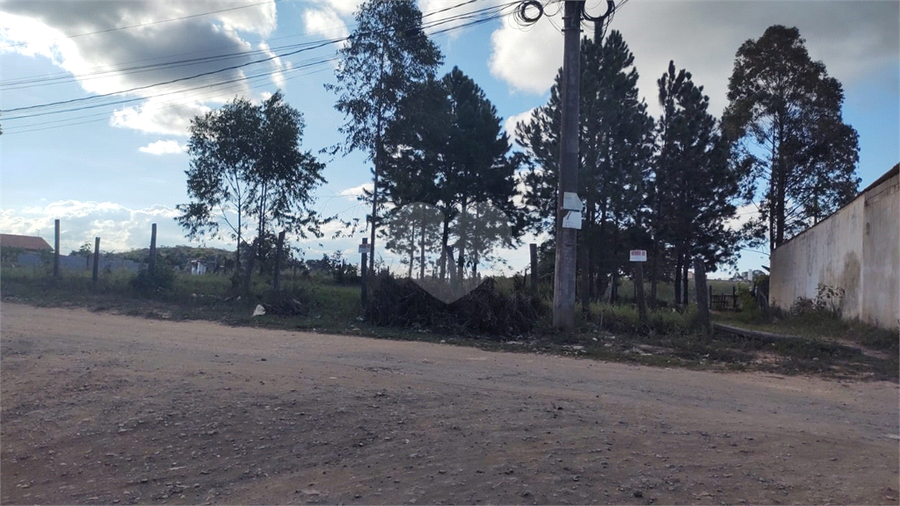 Foto REO1087770