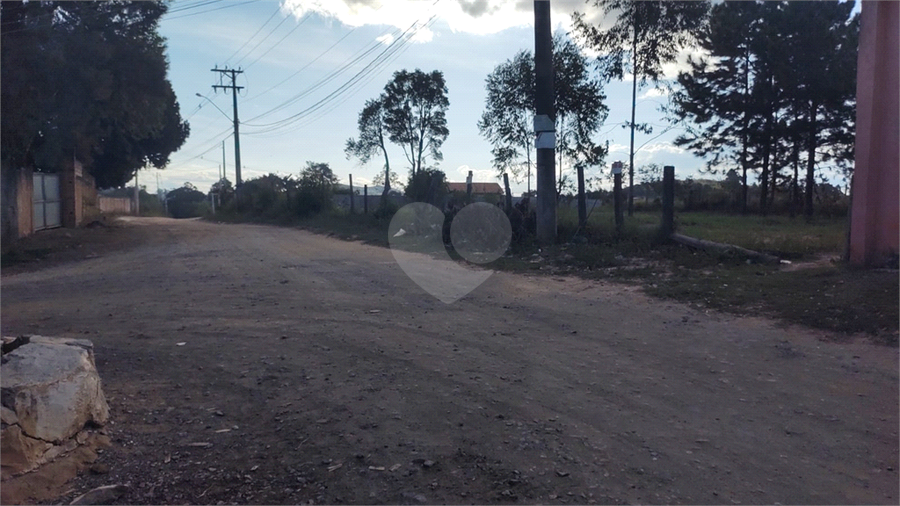 Foto REO1087770