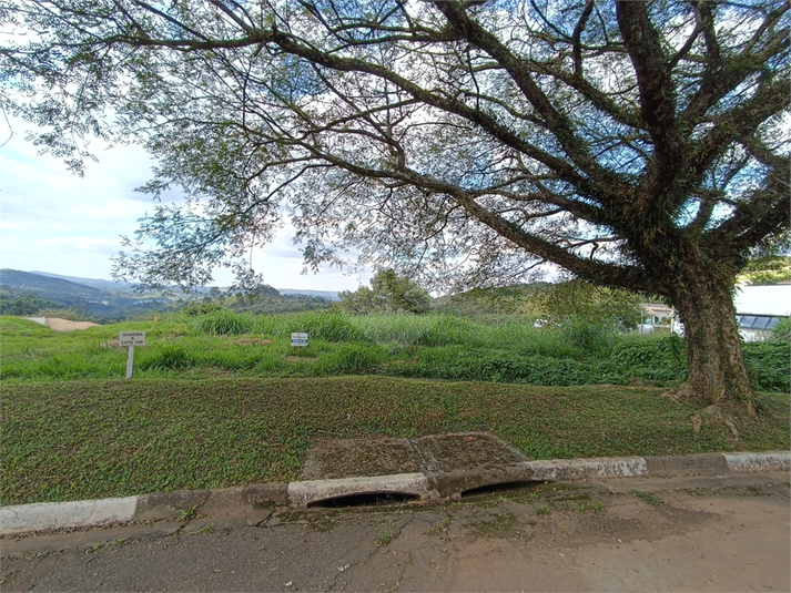 Foto REO1087774