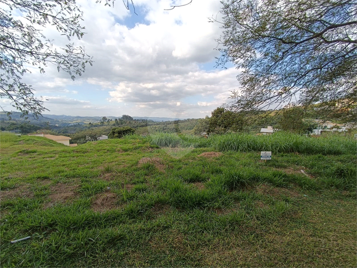 Foto REO1087774