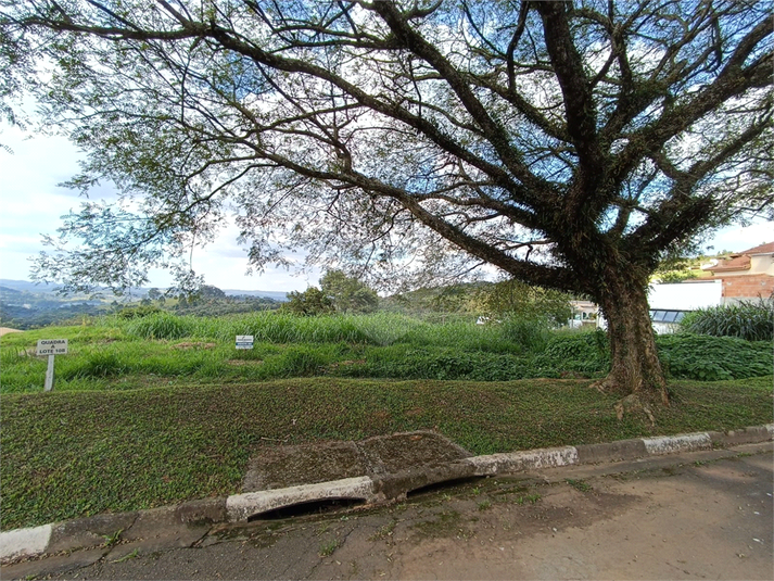 Foto REO1087774