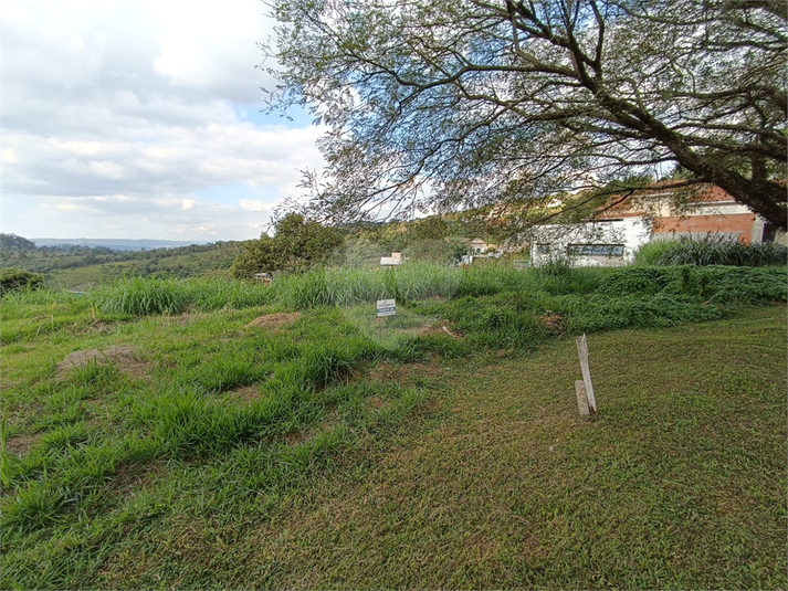 Foto REO1087774