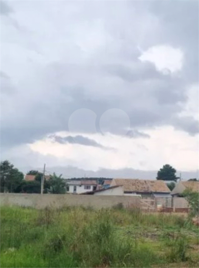 Foto REO1087798