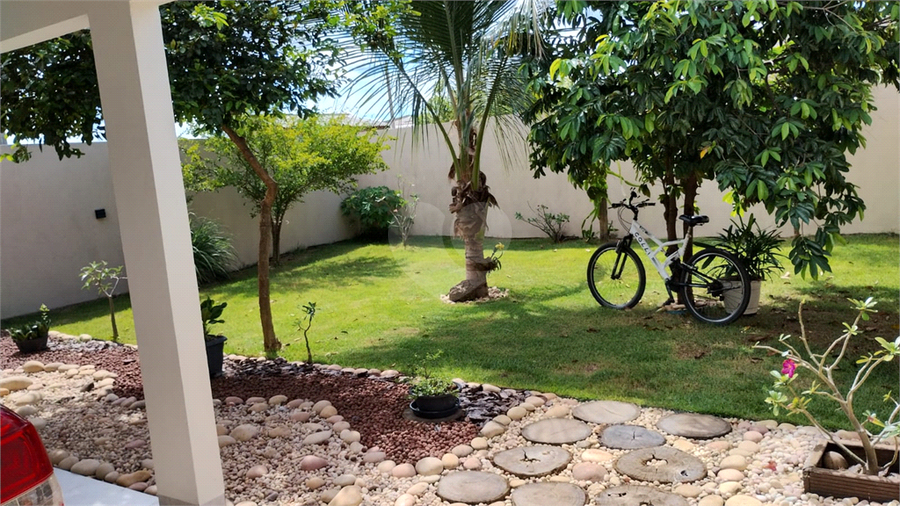 Foto REO1087829