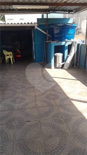 Foto REO1087849