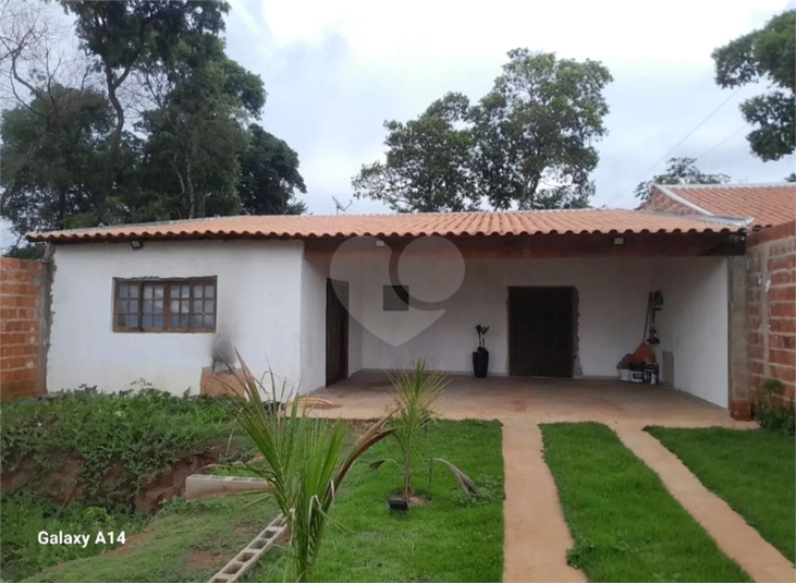 Foto REO1087884
