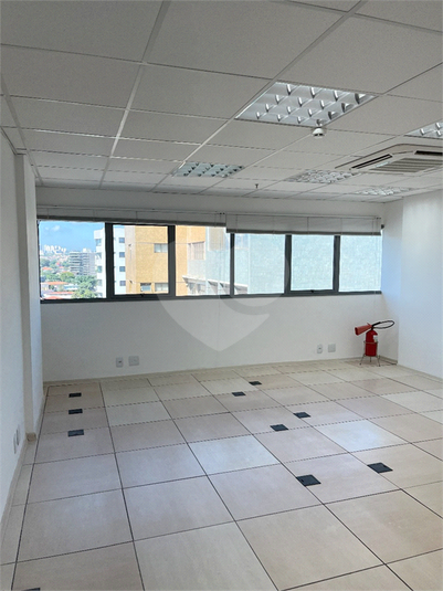 Foto REO1087887