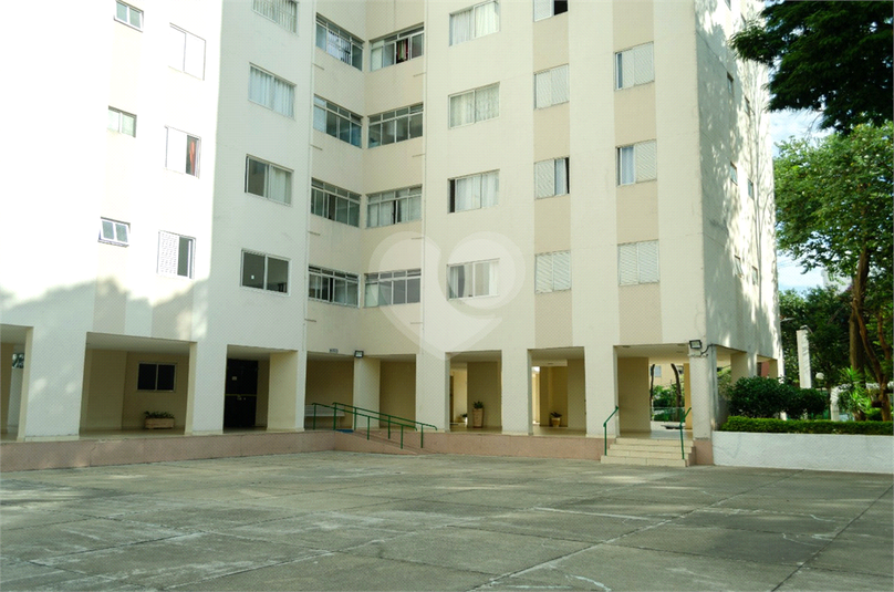 Foto REO1087896