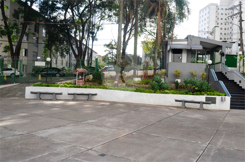 Foto REO1087896