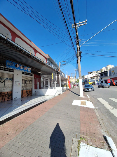 Foto REO1087924