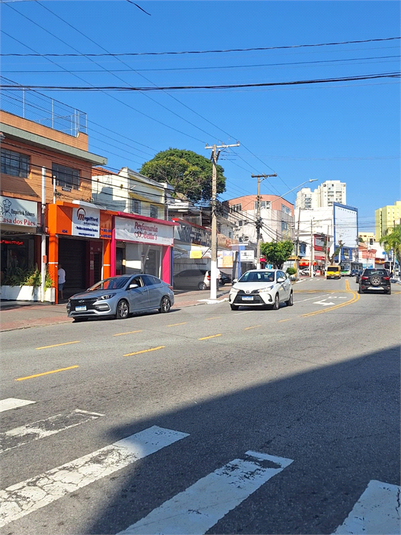 Foto REO1087924