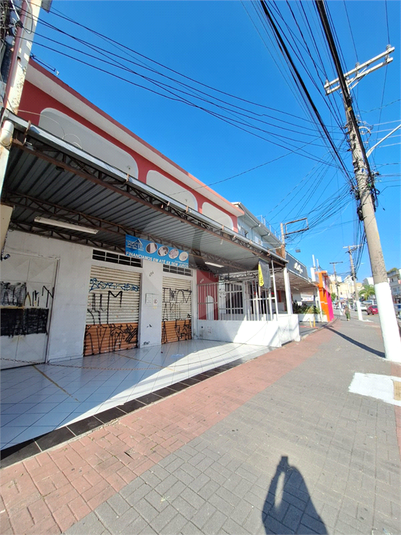 Foto REO1087924