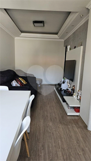 Foto REO1087930