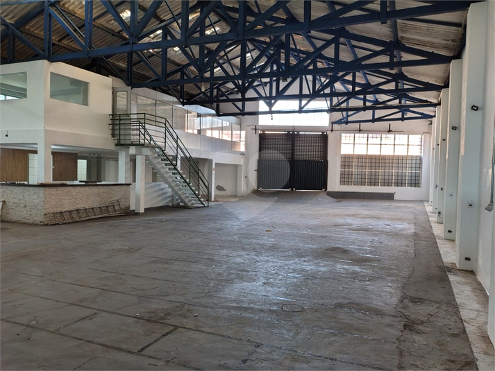Foto REO1087933