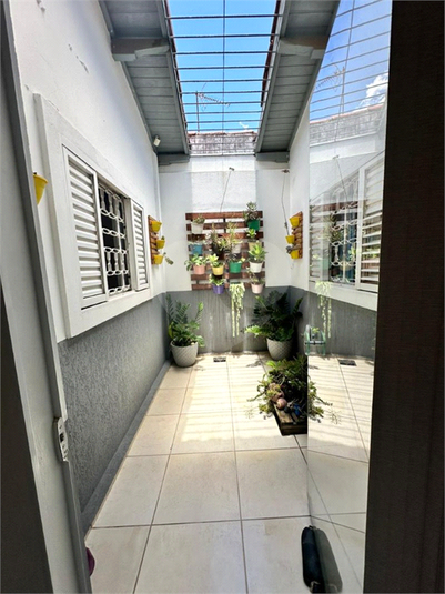 Foto REO1087936